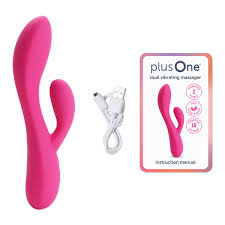 Double-head vibrator